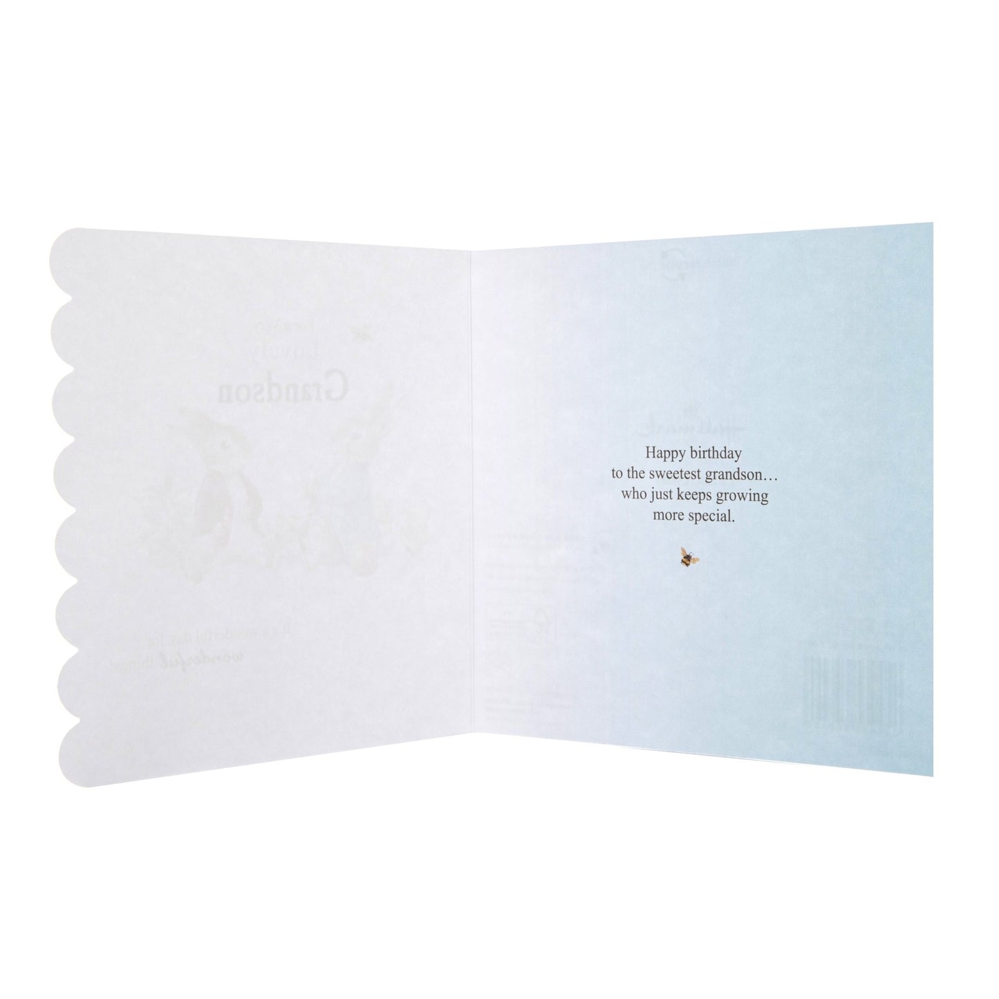 Birthday Card For Grandson - Peter Rabbit Design