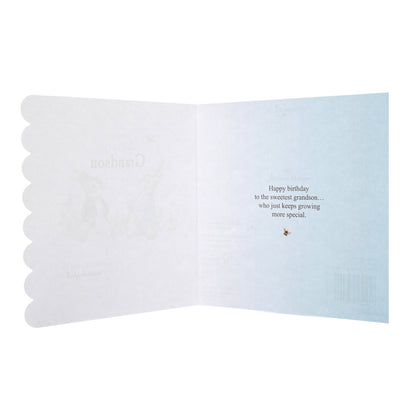 Birthday Card For Grandson - Peter Rabbit Design