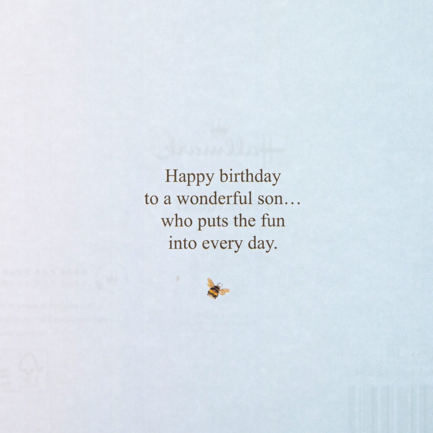 Birthday Card For Son - Beatrix Potter Peter Rabbit™ Design
