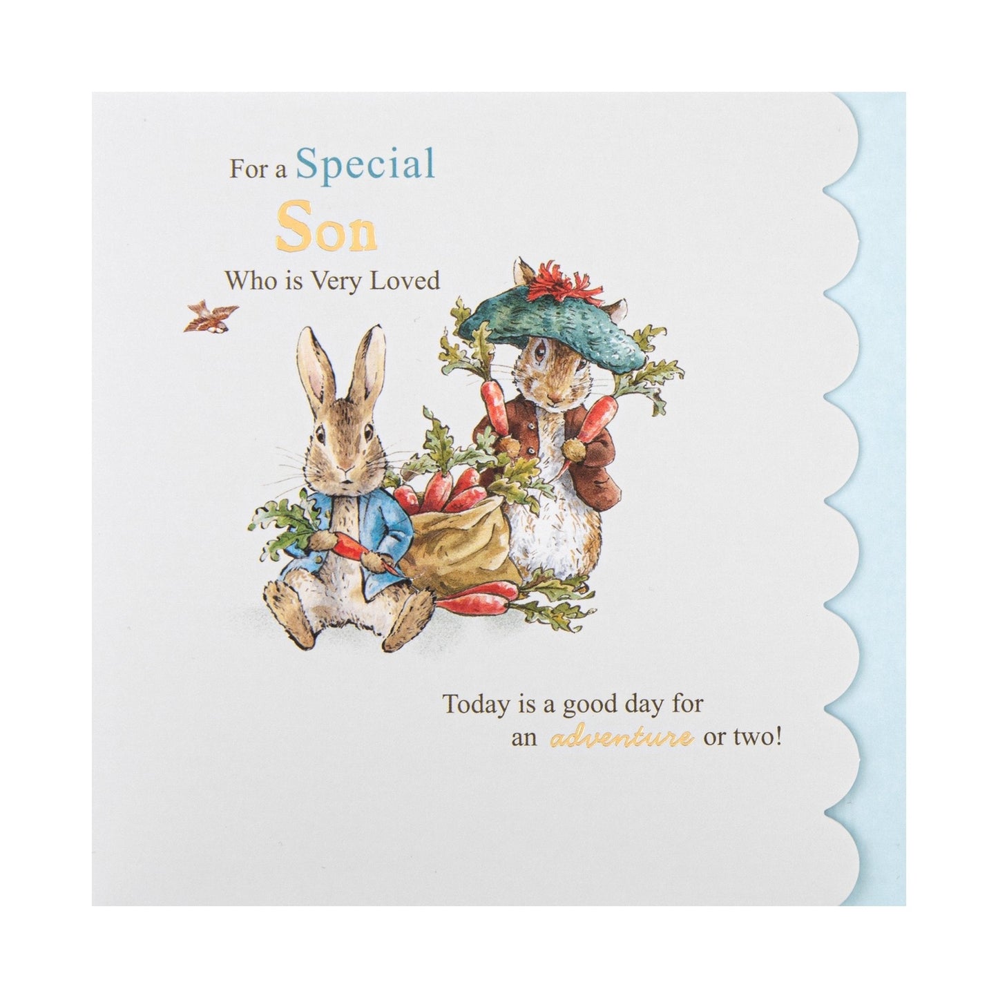 Birthday Card For Son - Beatrix Potter Peter Rabbit™ Design