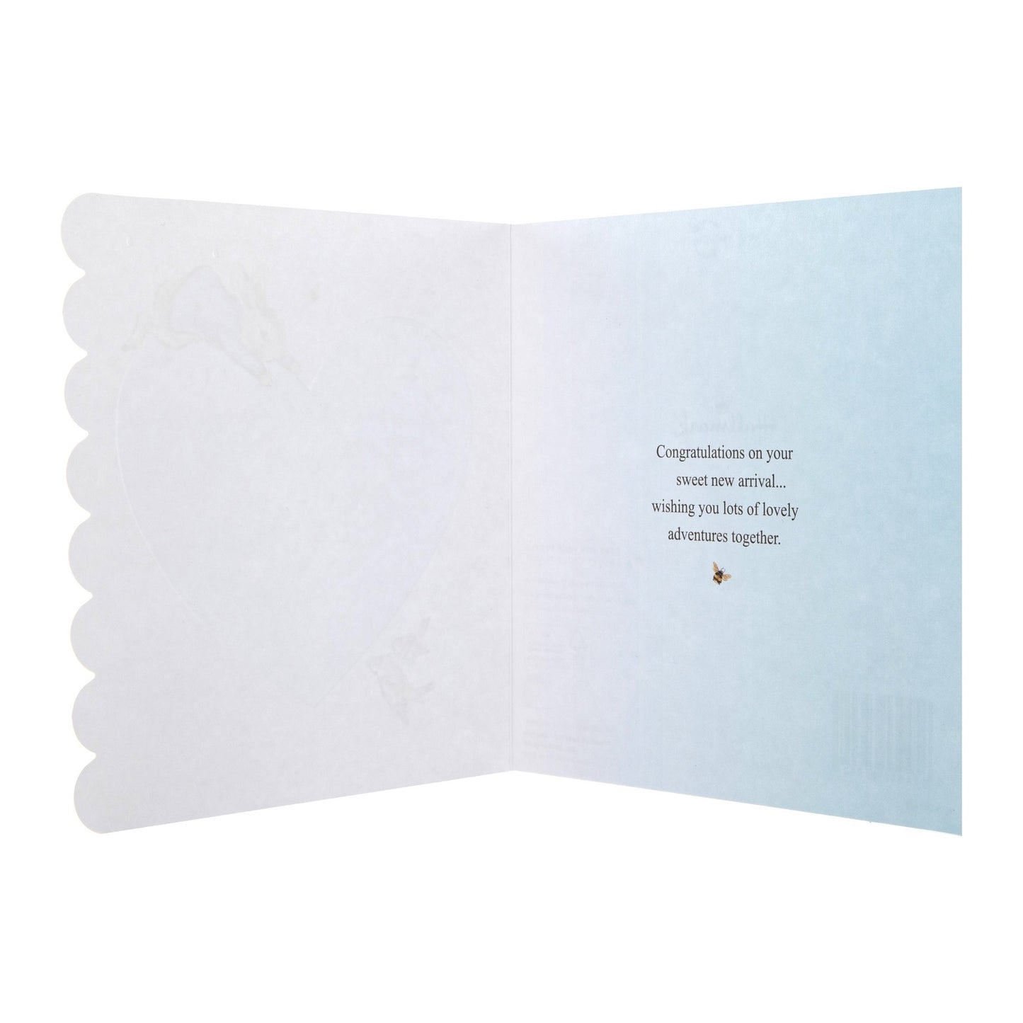 New Baby Boy Card - Beatrix Potter Peter Rabbit™ Design