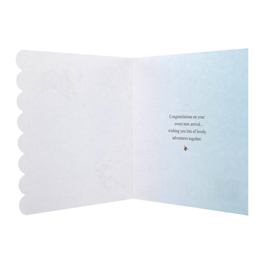 New Baby Boy Card - Beatrix Potter Peter Rabbit™ Design