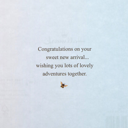 New Baby Boy Card - Beatrix Potter Peter Rabbit™ Design