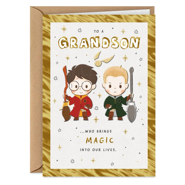 Grandson Birthday Card - Harry Potter Collection