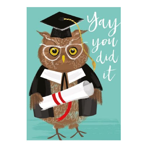 Yay You Did It Owl Graduation Card